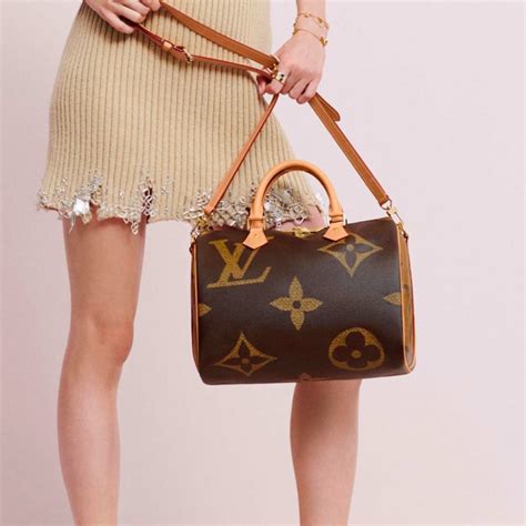 louis vuitton online purchase.